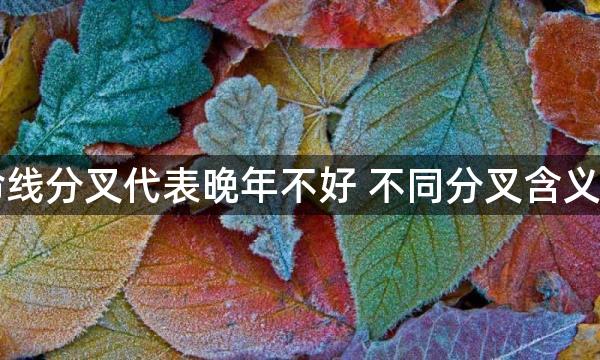 生命线分叉代表晚年不好 不同分叉含义不同