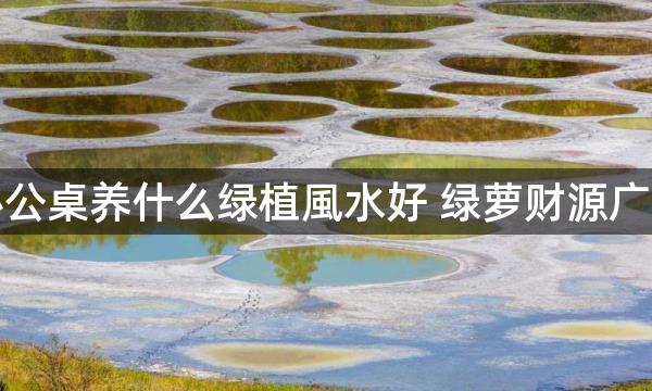 办公桌养什么绿植風水好 绿萝财源广进