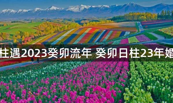 癸卯日柱遇2023癸卯流年 癸卯日柱23年婚姻幸福