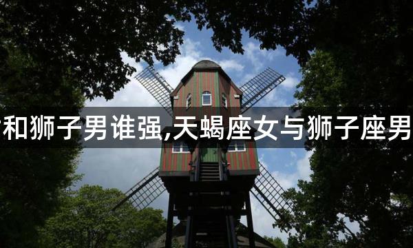 天蝎女和狮子男谁强,天蝎座女与狮子座男适合吗