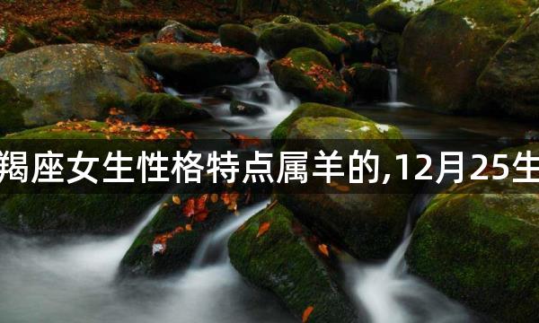 摩羯女一眼定生死的含义,摩羯座女生性格特点属羊的,12月25生日的摩羯座女生的性格特点,