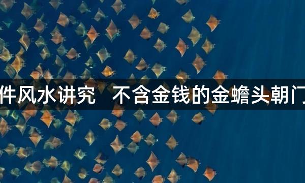 家里摆件风水讲究   不含金钱的金蟾头朝门能吸财