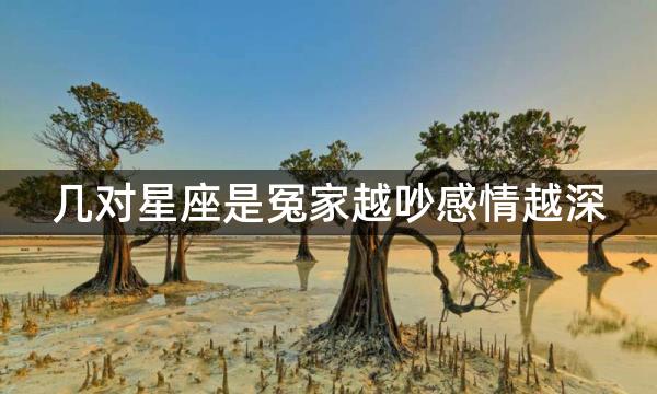 几对星座是冤家越吵感情越深