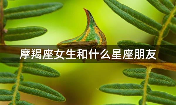 摩羯座女生和什么星座朋友