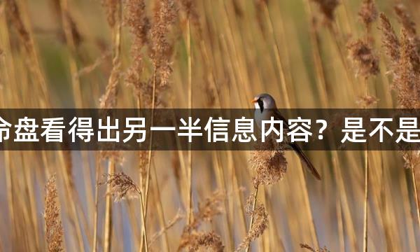 如何根据紫薇命盘看得出另一半信息内容？是不是俊俏才华横溢？