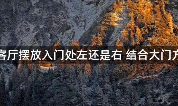 風水轮客厅摆放入门处左还是右 结合大门方位决定