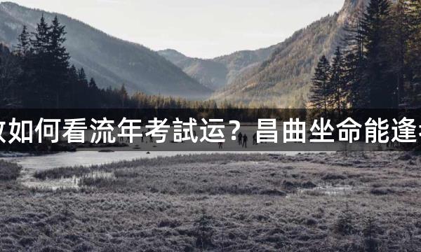 紫微斗数如何看流年考試运？昌曲坐命能逢考必过吗