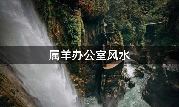 属羊办公室风水