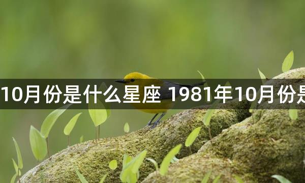 1981年10月份是什么星座 1981年10月份是啥星座