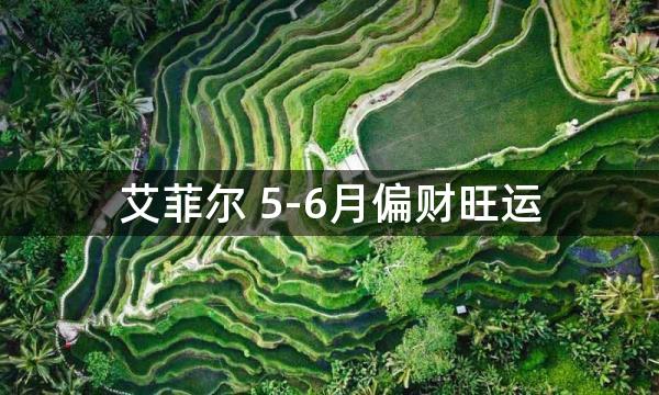 艾菲尔 5-6月偏财旺运，人品爆发中大奖星座点名！