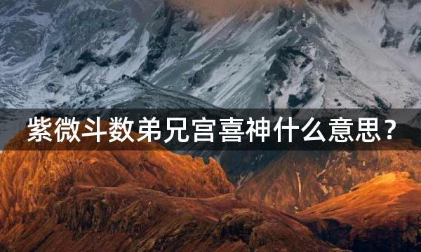 紫微斗数弟兄宫喜神什么意思？