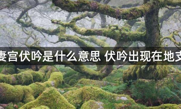 夫妻宫伏吟是什么意思 伏吟出现在地支上