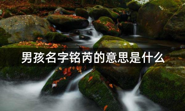 男孩名字铭芮的意思是什么