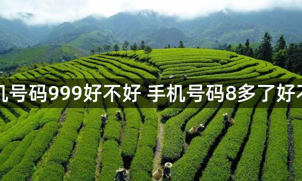 手机号码999好不好 手机号码8多了好不好