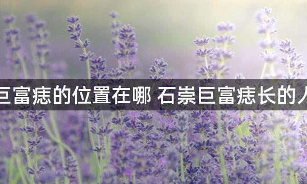 后背巨富痣的位置在哪 石崇巨富痣长的人多吗