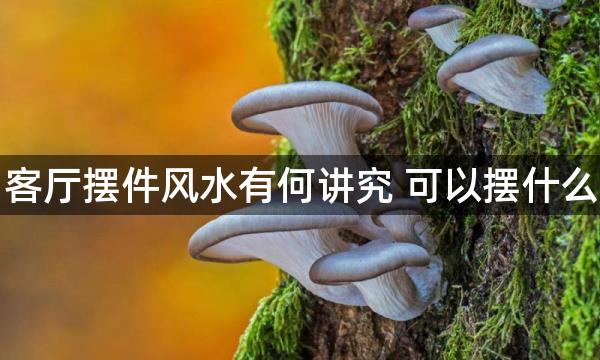 客厅摆件风水有何讲究 可以摆什么