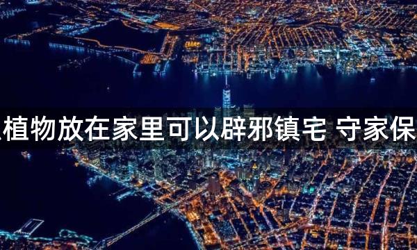 什么植物放在家里可以辟邪镇宅 守家保平安