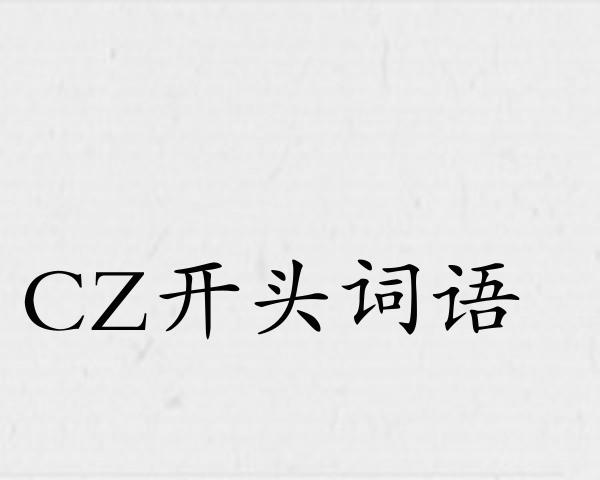 CZ开头词语