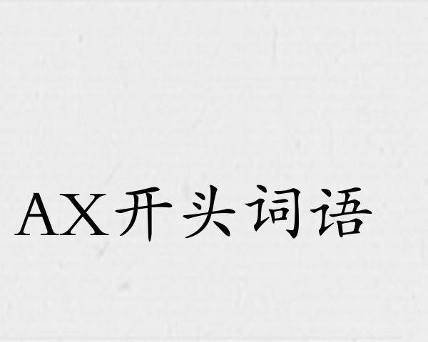 AX开头词语