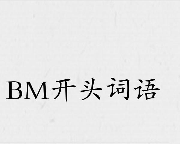 BM开头词语