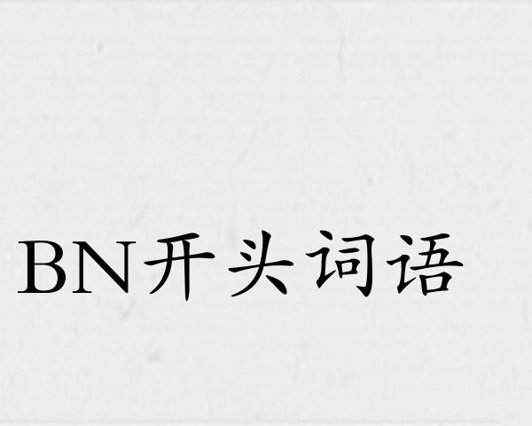 BN开头词语