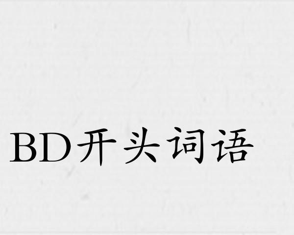 BD开头词语