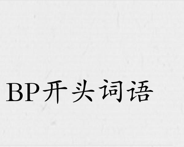 BP开头词语