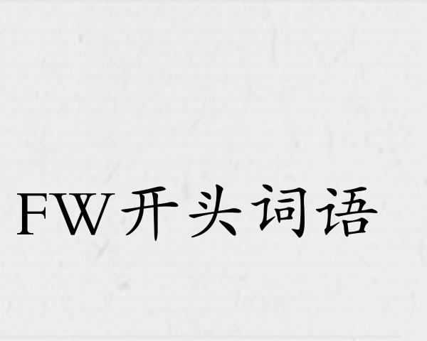 FW开头词语