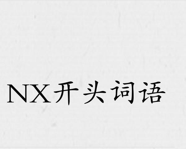NX开头词语