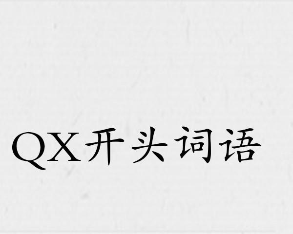 QX开头词语