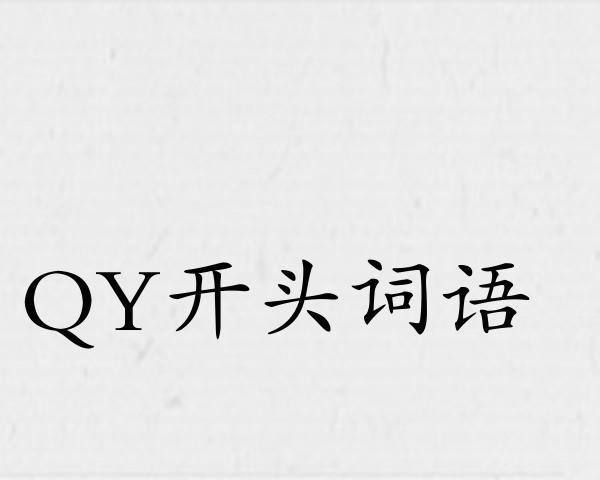 QY开头词语