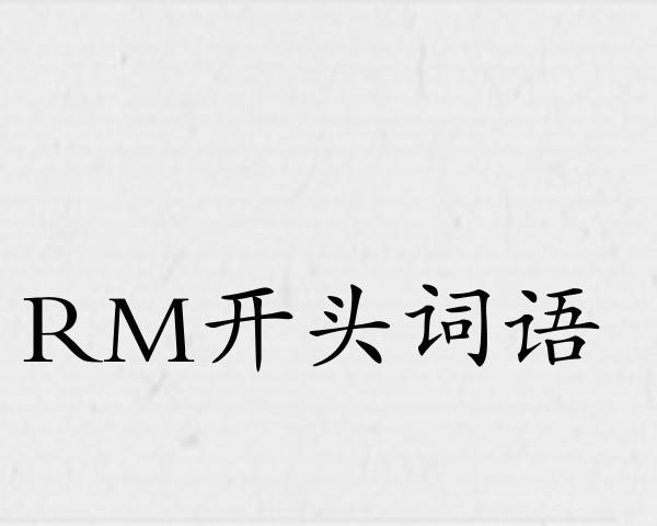 RM开头词语