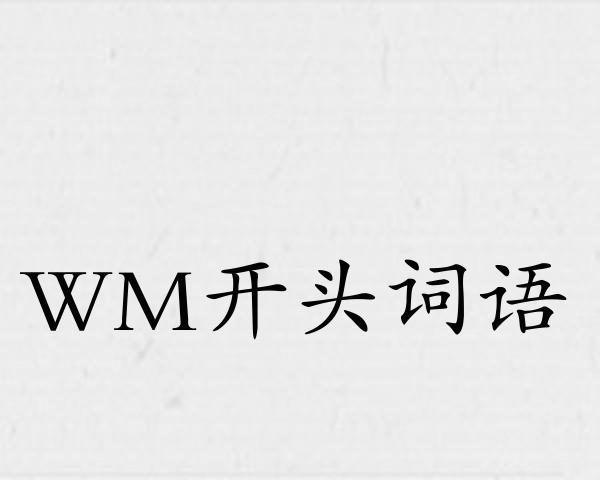 WM开头词语