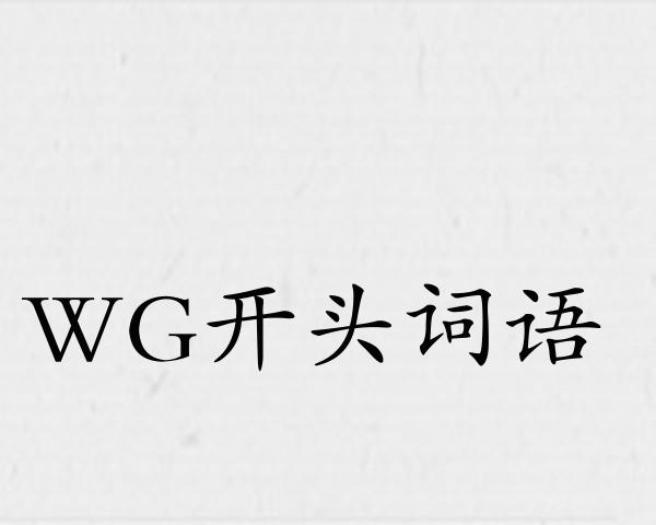 WG开头词语