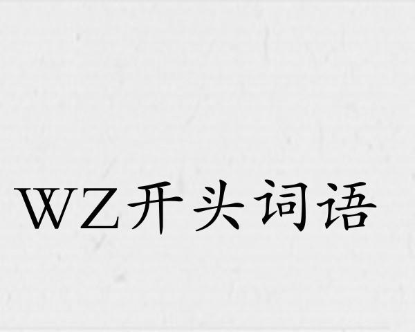 WZ开头词语