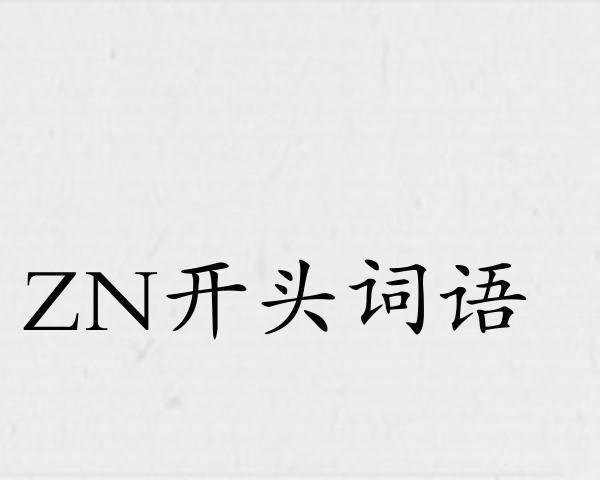 ZN开头词语